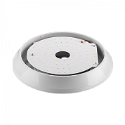    Circus Pro 1 24 FS-MAN-CP-018-65-48-208-OPL-1    1