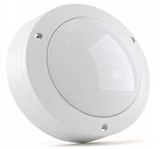   Circus Pro 10 950 IP65  